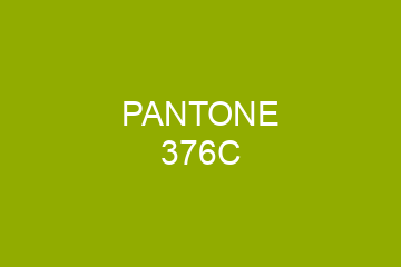 Peinture Pantone 376C