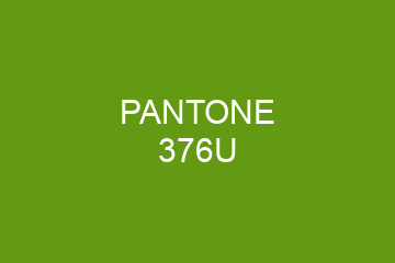 Peinture Pantone 376U