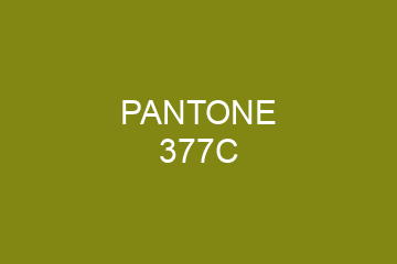 Peinture Pantone 377C