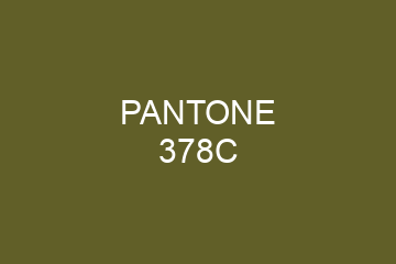 Peinture Pantone 378C