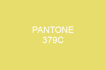 Peinture Pantone 379C