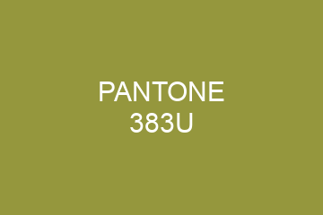 Peinture Pantone 383U