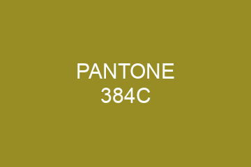 Peinture Pantone 384C