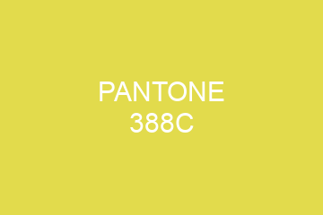 Peinture Pantone 388C