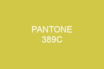 Peinture Pantone 389C