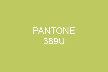 Peinture Pantone 389U