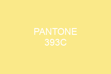 Peinture Pantone 393C