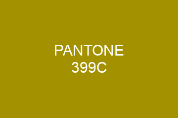 Peinture Pantone 399C