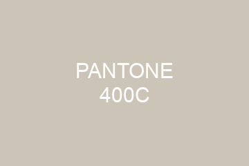 Peinture Pantone 400C