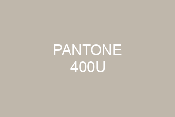 Peinture Pantone 400U