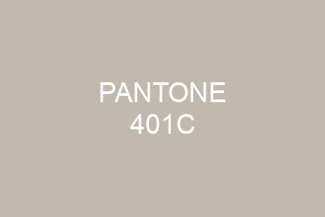 Peinture Pantone 401C