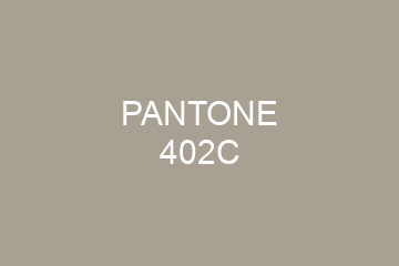 Peinture Pantone 402C