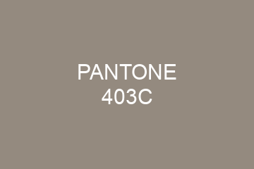 Peinture Pantone 403C