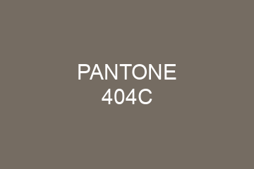 Peinture Pantone 404C