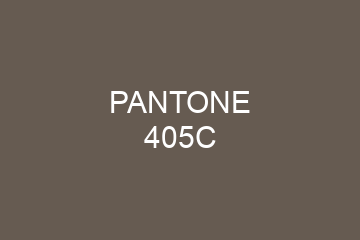 Peinture Pantone 405C