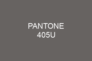 Peinture Pantone 405U