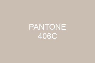 Peinture Pantone 406C