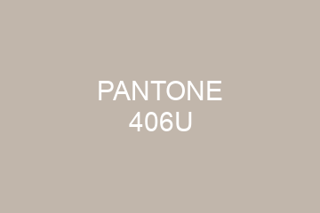 Peinture Pantone 406U