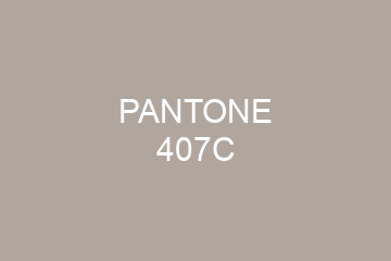 Peinture Pantone 407C