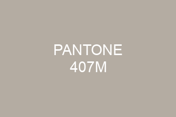 Peinture Pantone 407M