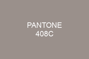 Peinture Pantone 408C