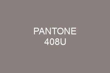 Peinture Pantone 408U