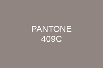 Peinture Pantone 409C