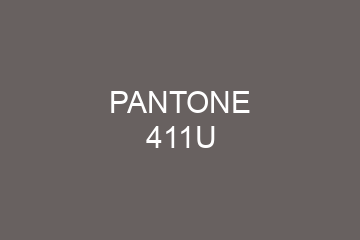 Peinture Pantone 411U