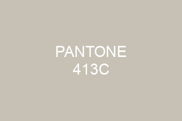 Peinture Pantone 413C