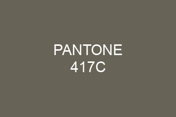 Peinture Pantone 417C