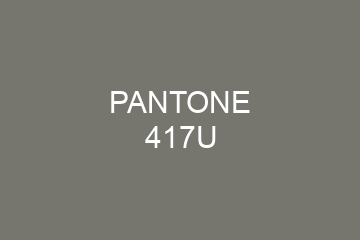 Peinture Pantone 417U