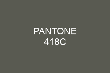 Peinture Pantone 418C