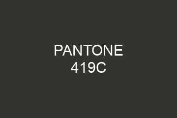 Peinture Pantone 419C