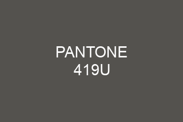 Peinture Pantone 419U