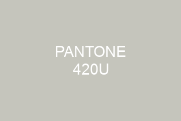 Peinture Pantone 420U