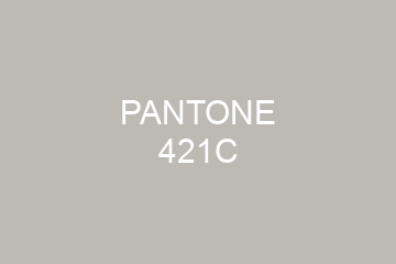 Peinture Pantone 421C