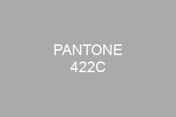 Peinture Pantone 422C