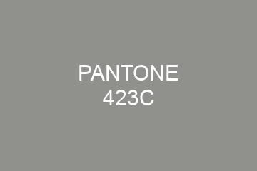 Peinture Pantone 423C