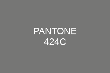 Peinture Pantone 424C