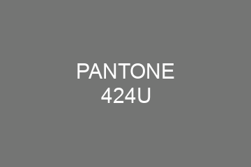 Peinture Pantone 424U