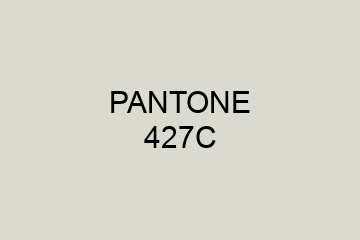 Peinture Pantone 427C