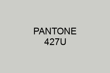 Peinture Pantone 427U