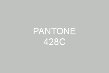 Peinture Pantone 428C