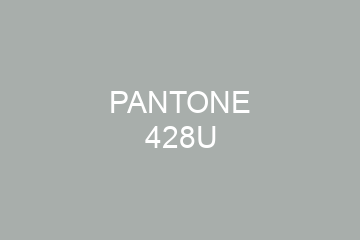 Peinture Pantone 428U