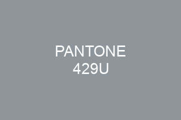 Peinture Pantone 429U