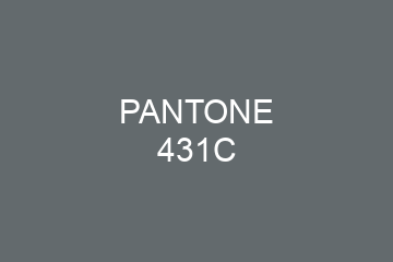 Peinture Pantone 431C