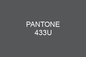 Peinture Pantone 433U