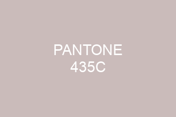 Peinture Pantone 435C