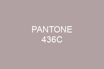 Peinture Pantone 436C