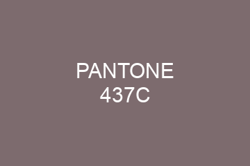 Peinture Pantone 437C